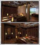 luxury 5-star hotel development - 3