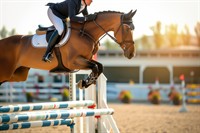 exclusive equestrian sports center - 1