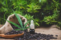 german medical cannabis distribution - 1