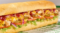 turnkey subway franchise germany - 1