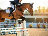 exclusive equestrian sports center