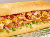 turnkey subway franchise germany